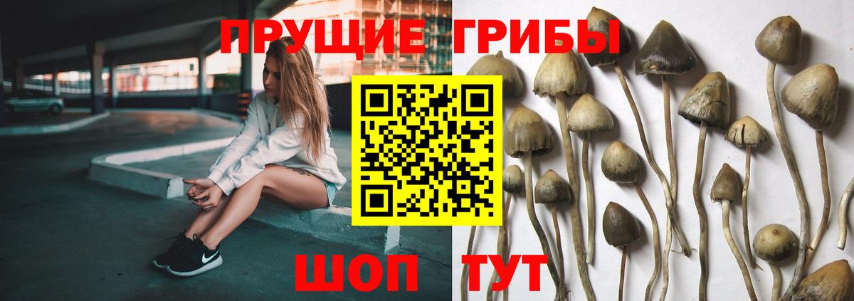 Галлюциногенные грибы MAGIC MUSHROOMS  Псилоцибиновые грибы мухоморы  Вход с VPN  Минусинск 